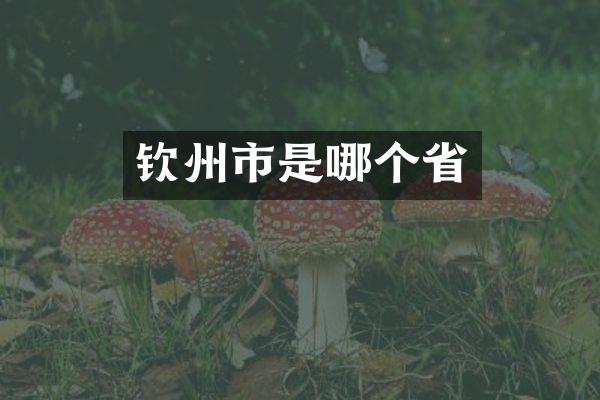 钦州市是哪个省