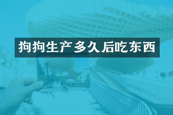 狗狗生产多久后吃东西