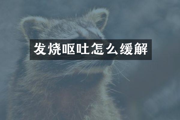 发烧呕吐怎么缓解
