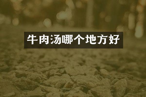 牛肉汤哪个地方好