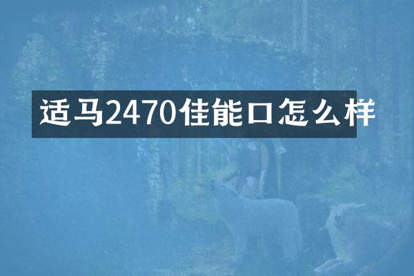 适马2470佳能口怎么样