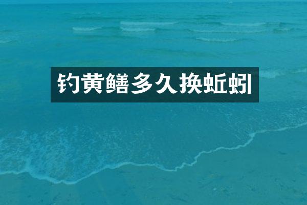 钓黄鳝多久换蚯蚓