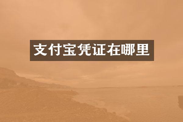 支付宝凭证在哪里