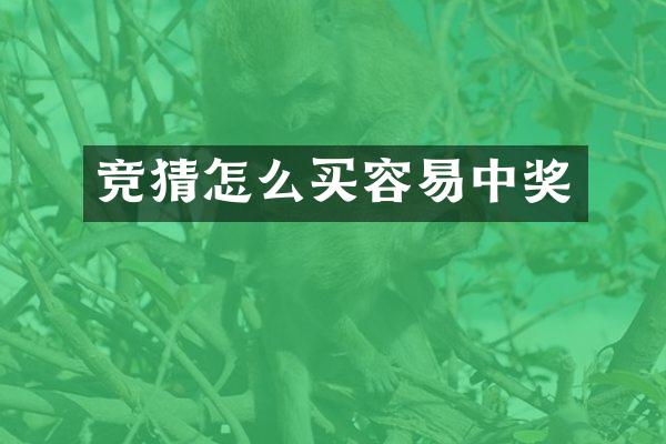 竞猜怎么买容易中奖