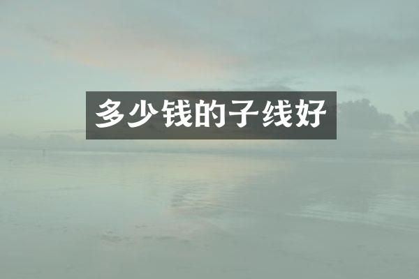 多少钱的子线好
