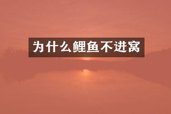 为什么鲤鱼不进窝