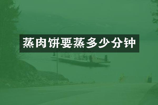 蒸肉饼要蒸多少分钟