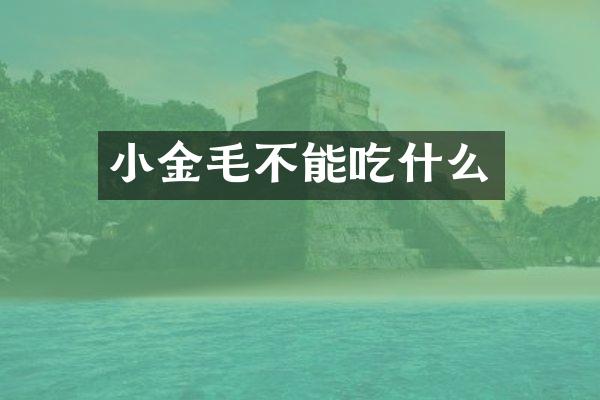 小金毛不能吃什么