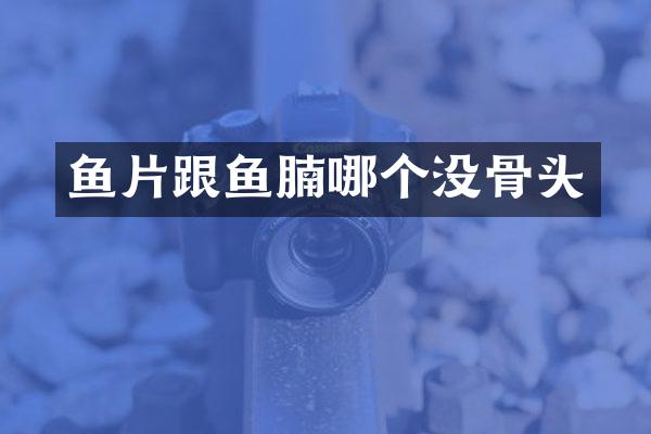 鱼片跟鱼腩哪个没骨头