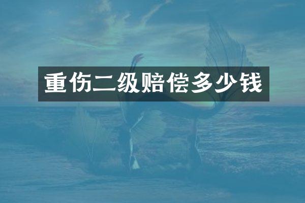 重伤二级赔偿多少钱