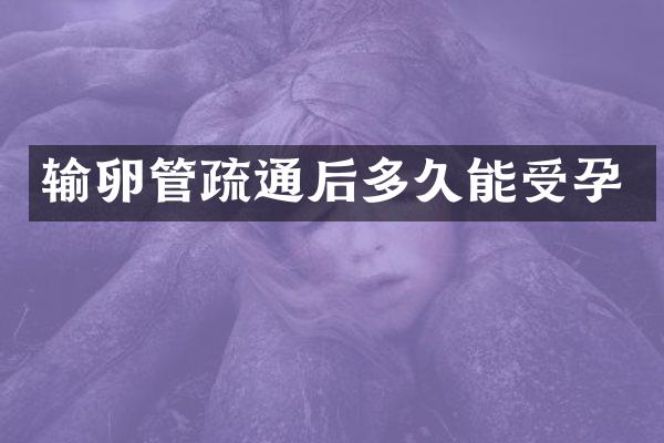 输卵管疏通后多久能受孕