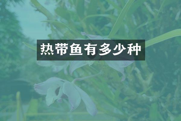 热带鱼有多少种