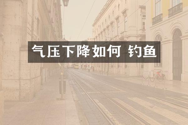 气压下降如何 钓鱼