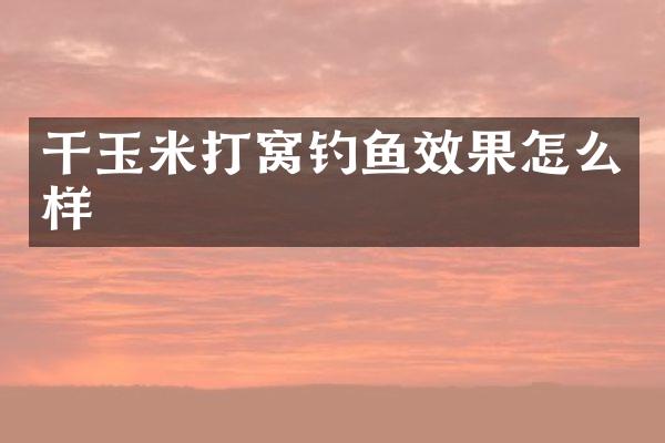 干玉米打窝钓鱼效果怎么样