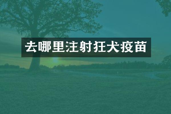 去哪里注射狂犬疫苗