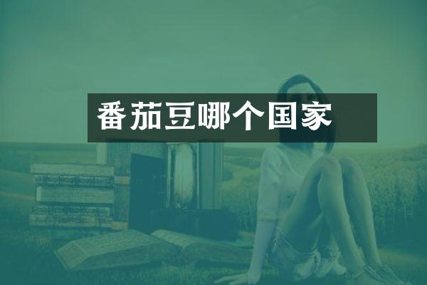 番茄焗豆哪个国家