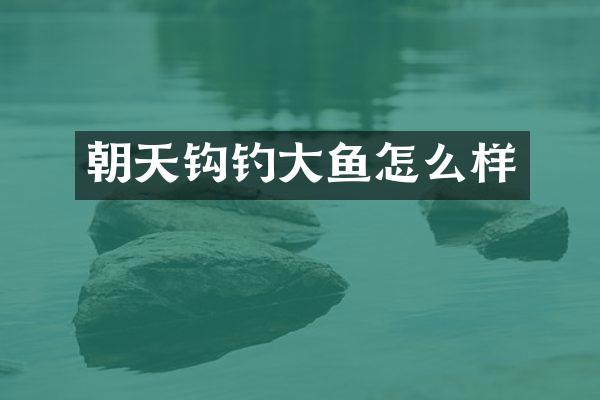 朝天钩钓大鱼怎么样