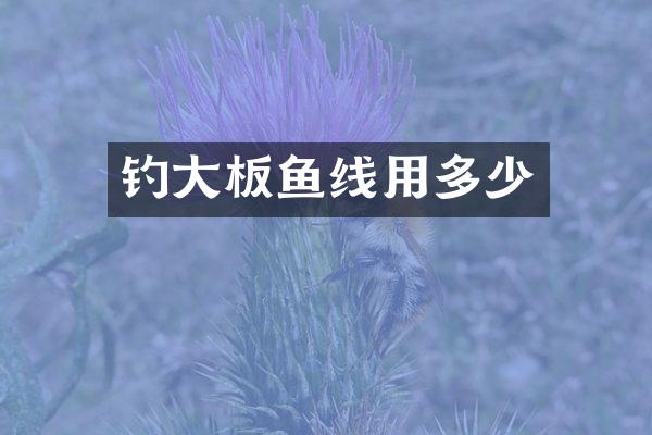 钓大板鱼线用多少