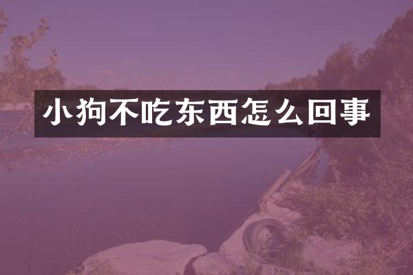 小狗不吃东西怎么回事