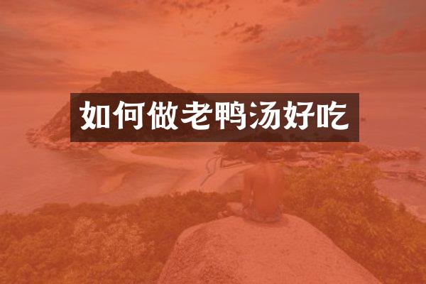 如何做老鸭汤好吃