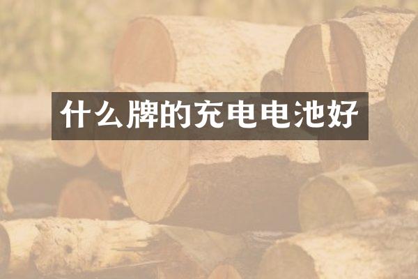 什么牌的充电电池好