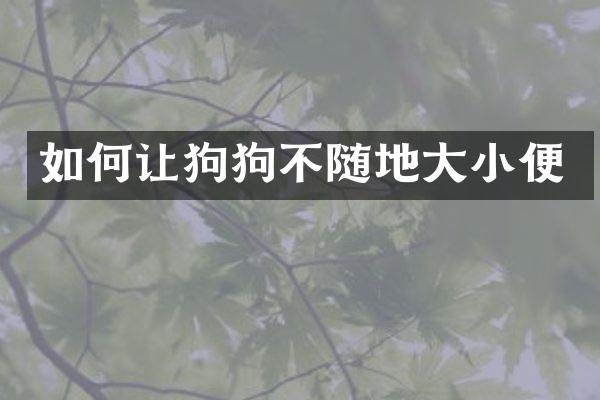 如何让狗狗不随地大小便