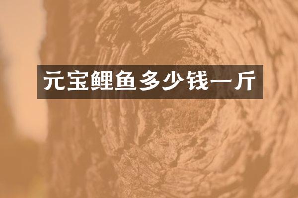 元宝鲤鱼多少钱一斤