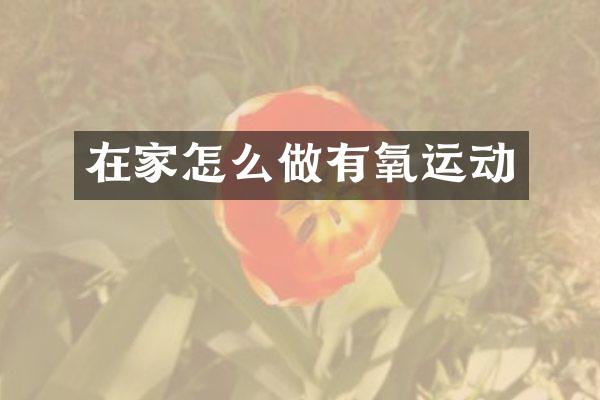 在家怎么做有氧运动