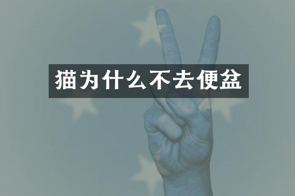 猫为什么不去便盆