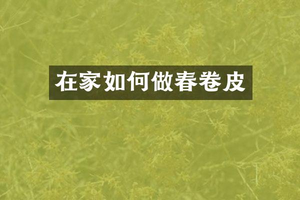 在家如何做春卷皮