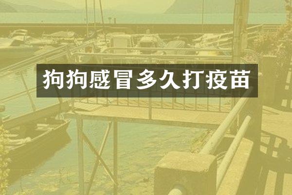 狗狗感冒多久打疫苗