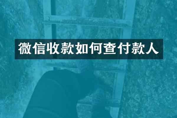 微信收款如何查付款人