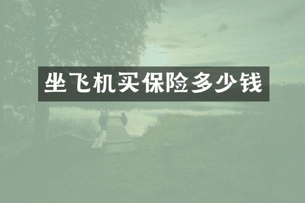 坐飞机买保险多少钱