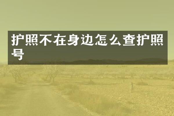 护照不在身边怎么查护照号