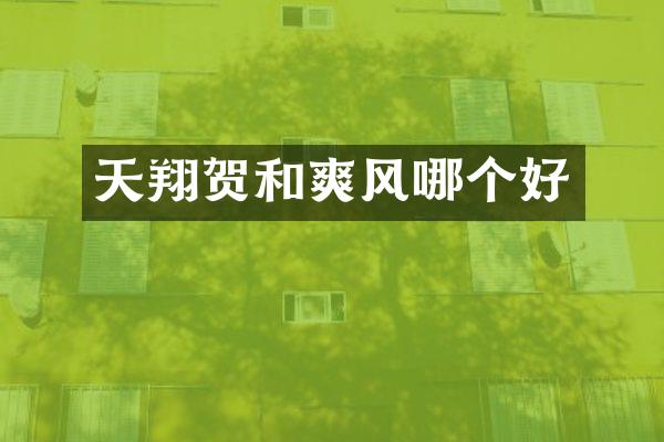 天翔贺和爽风哪个好