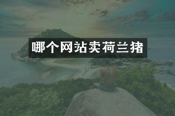 哪个网站卖荷兰猪