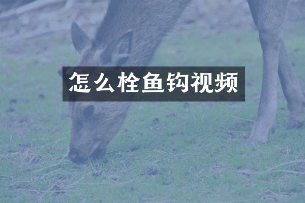 怎么栓鱼钩视频