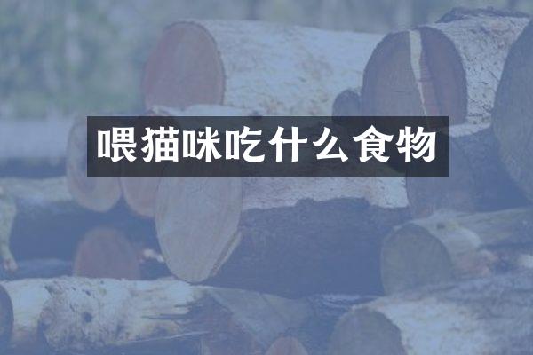 喂猫咪吃什么食物