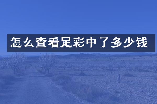 怎么查看足彩中了多少钱