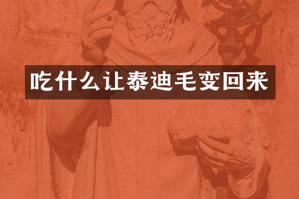 吃什么让泰迪毛变回来