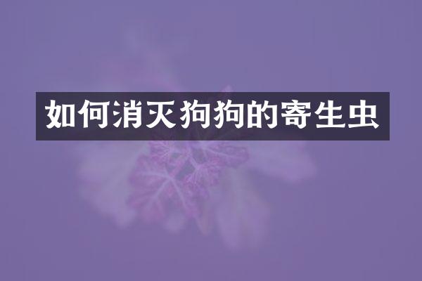 如何消灭狗狗的寄生虫