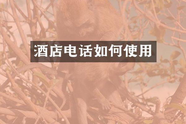 酒店电话如何使用