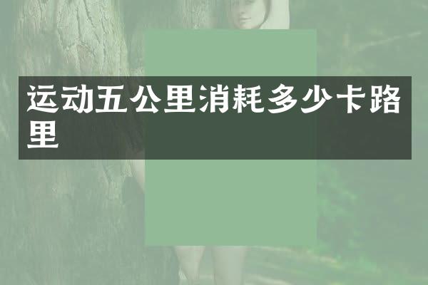运动五公里消耗多少卡路里