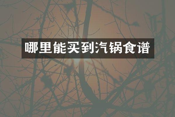 哪里能买到汽锅食谱
