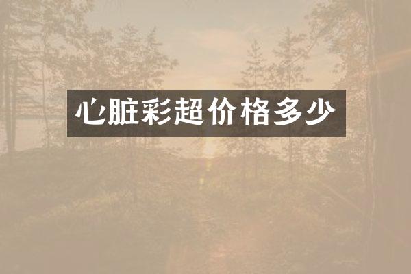 心脏彩超价格多少