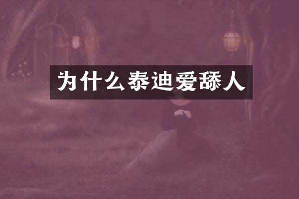 为什么泰迪爱舔人