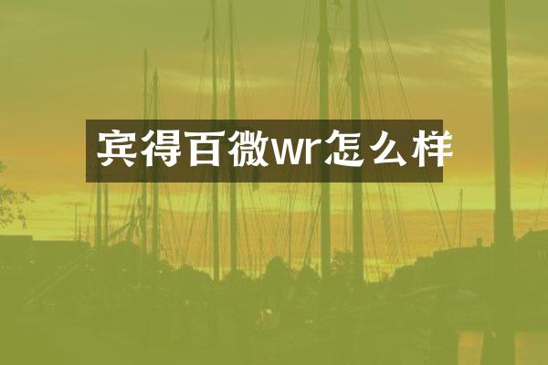 宾得百微wr怎么样