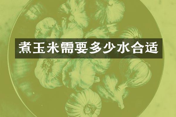 煮玉米需要多少水合适
