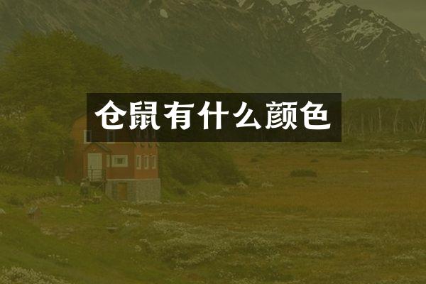 仓鼠有什么颜色