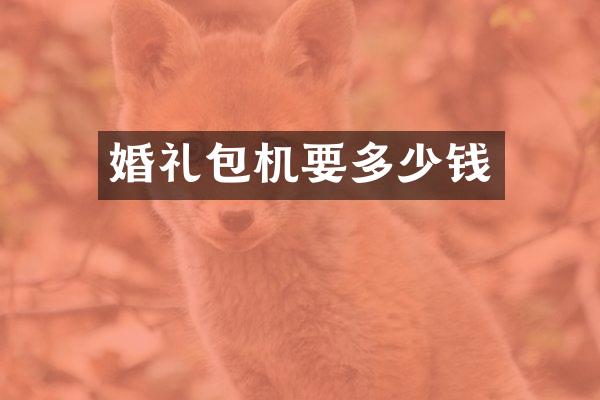 婚礼包机要多少钱